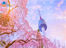 Tour Hàn Quốc Mùa Hoa Anh Đào 5N4Đ: Seoul - Nami - Everland